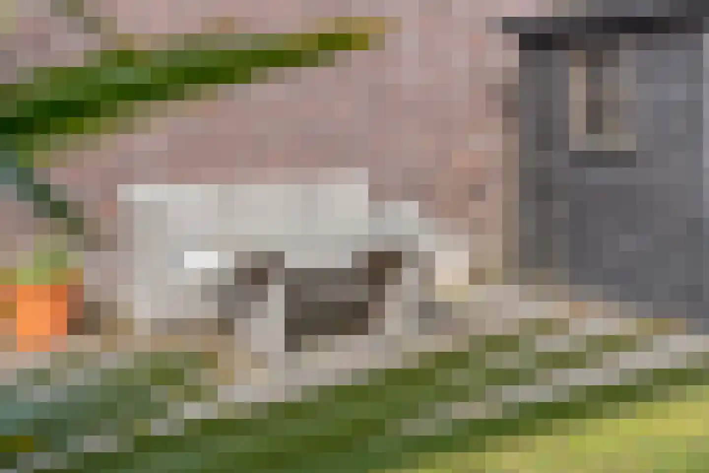 Veldsinklaan 19 Hardenberg thumbnail 39