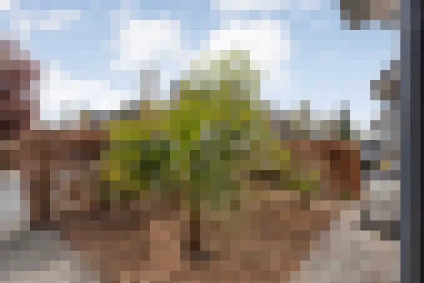 Veldsinklaan 19 Hardenberg thumbnail 5