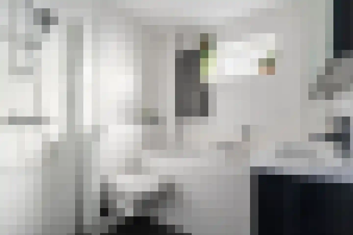 Veldsinklaan 20 Hardenberg thumbnail 33
