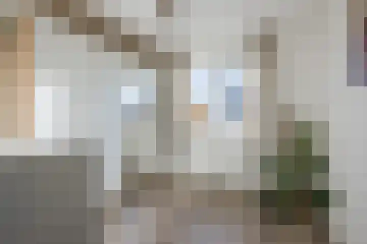 Veldsinklaan 31 Hardenberg thumbnail 21