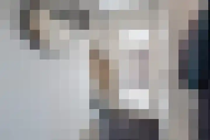 Veldsinklaan 31 Hardenberg thumbnail 4