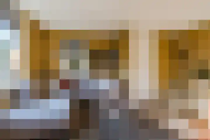 Veldsinklaan 31 Hardenberg thumbnail 8