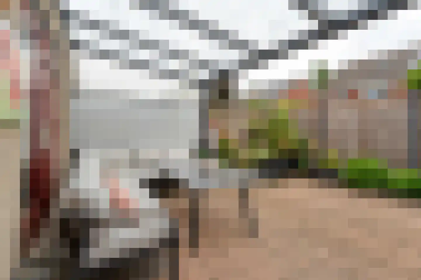 Veldsinklaan 33 Hardenberg thumbnail 44