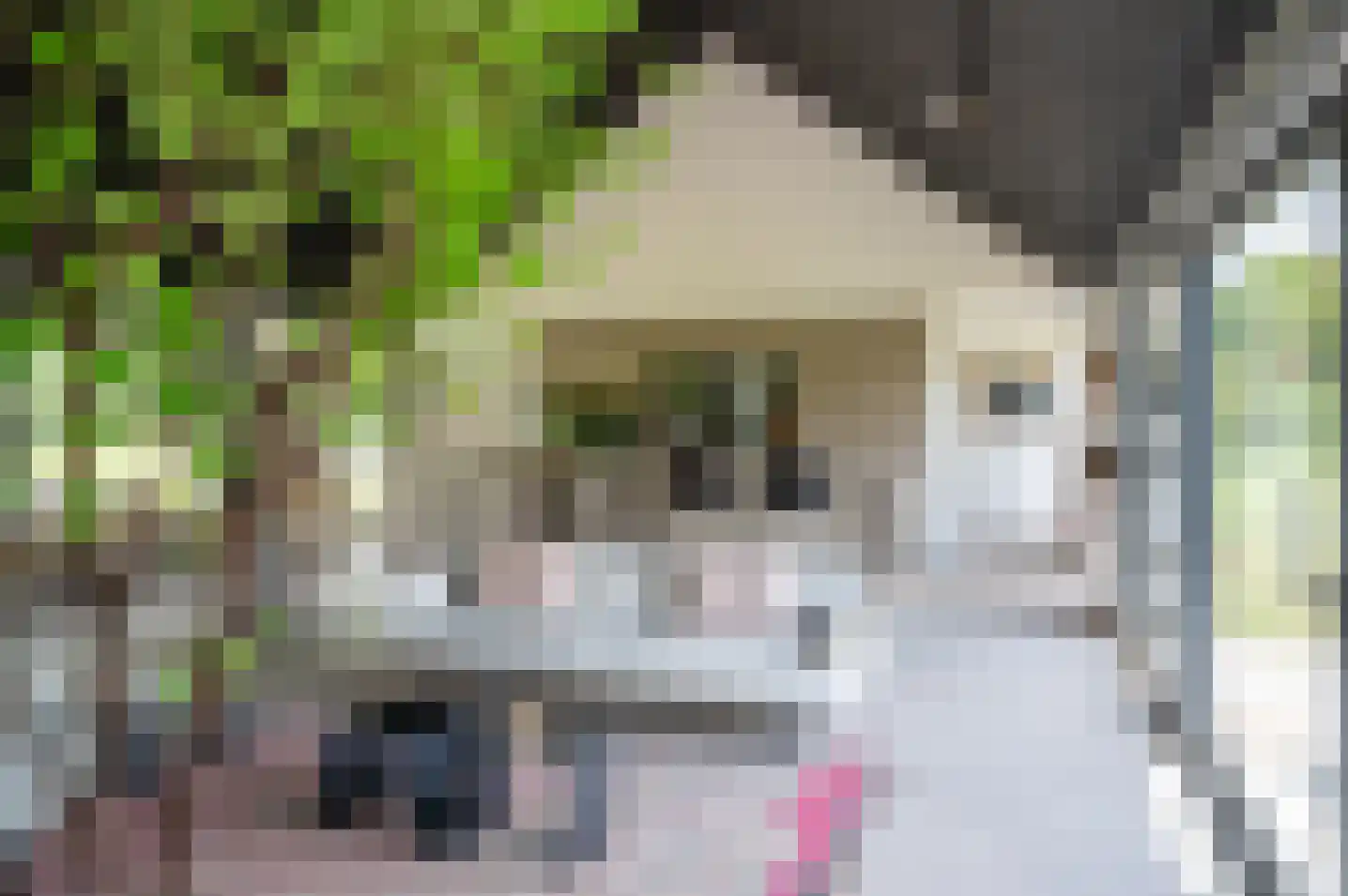 Veldslagweg 2 Vorden thumbnail 15