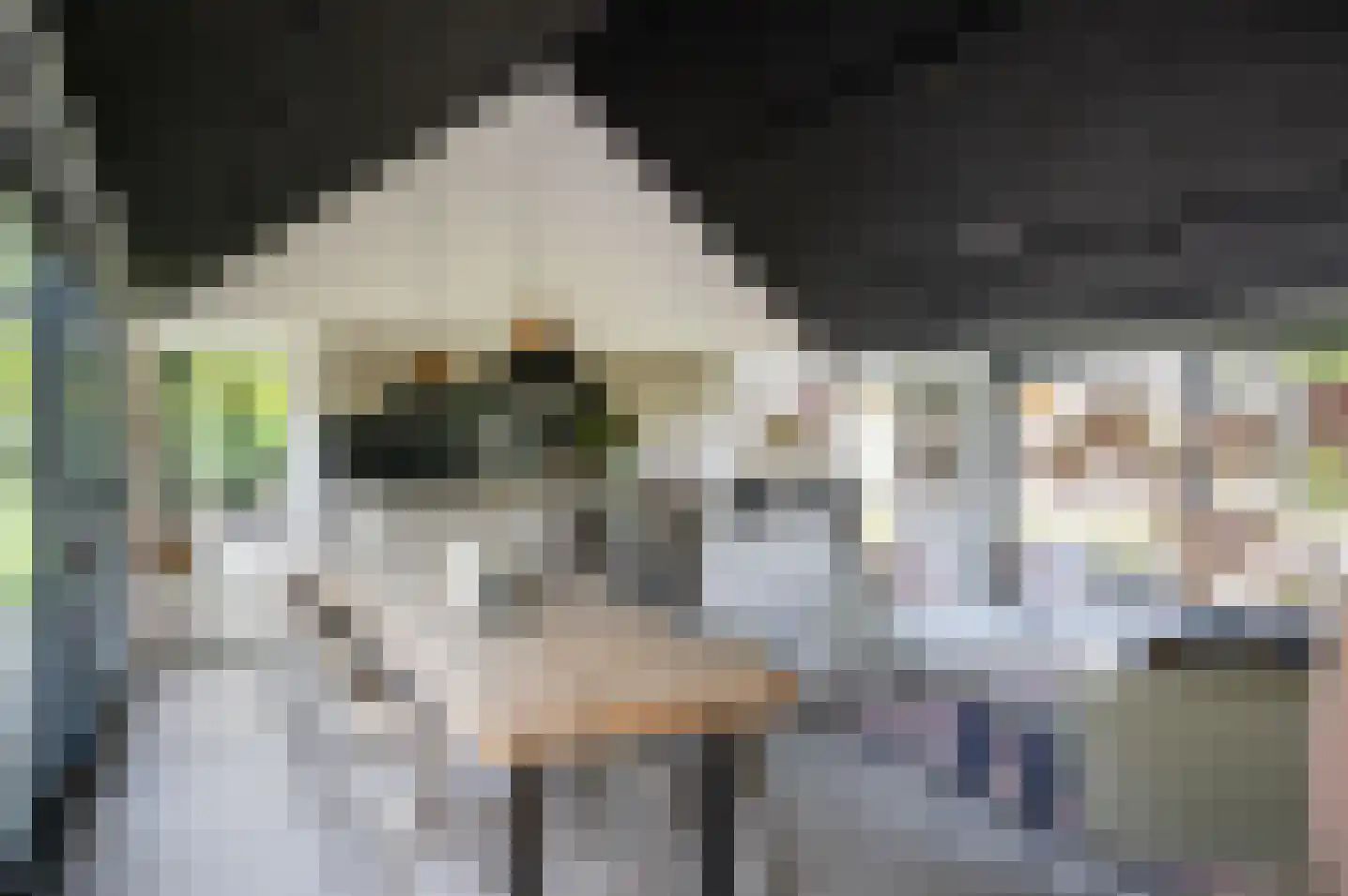 Veldslagweg 2 Vorden thumbnail 18