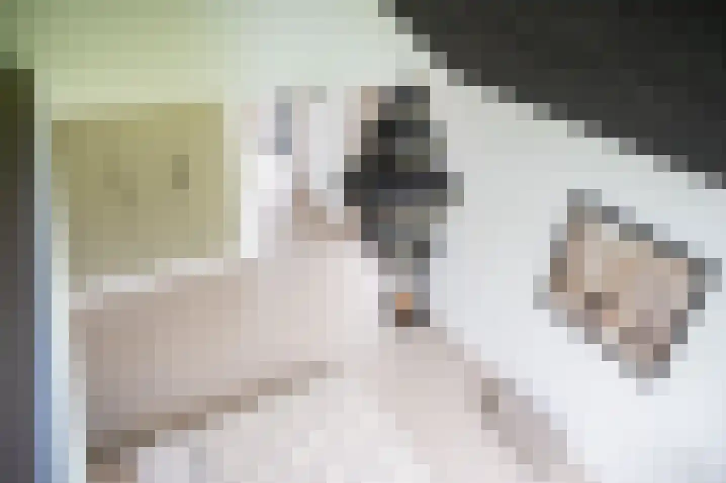Veldslagweg 2 Vorden thumbnail 23