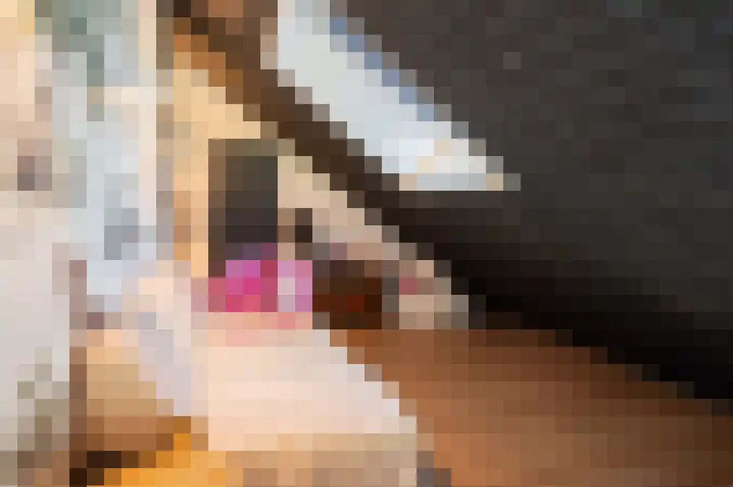 Veldslagweg 2 Vorden thumbnail 33