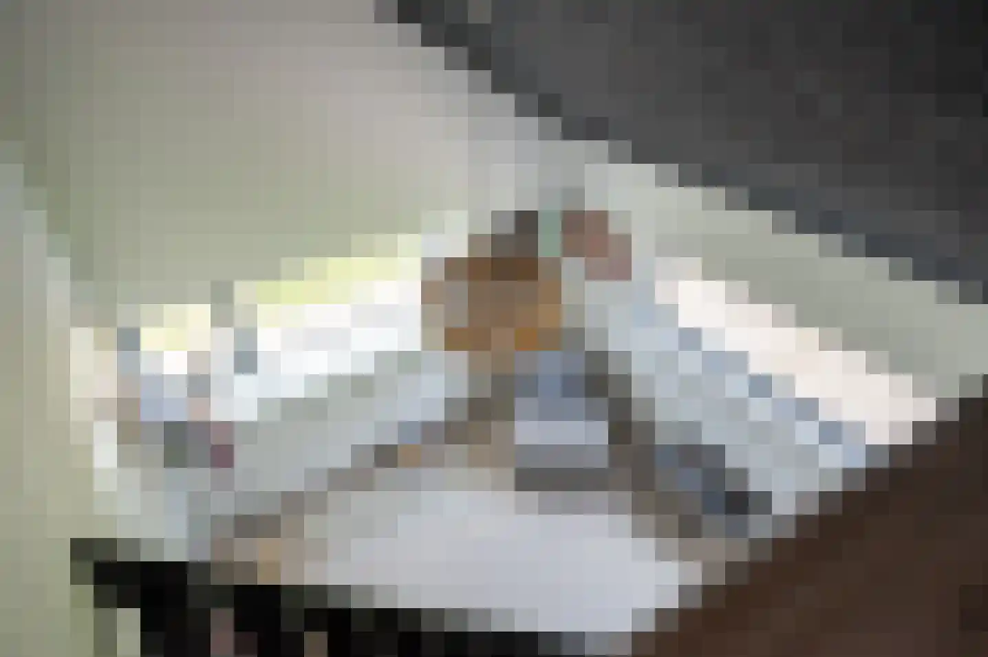 Veldslagweg 2 Vorden thumbnail 36