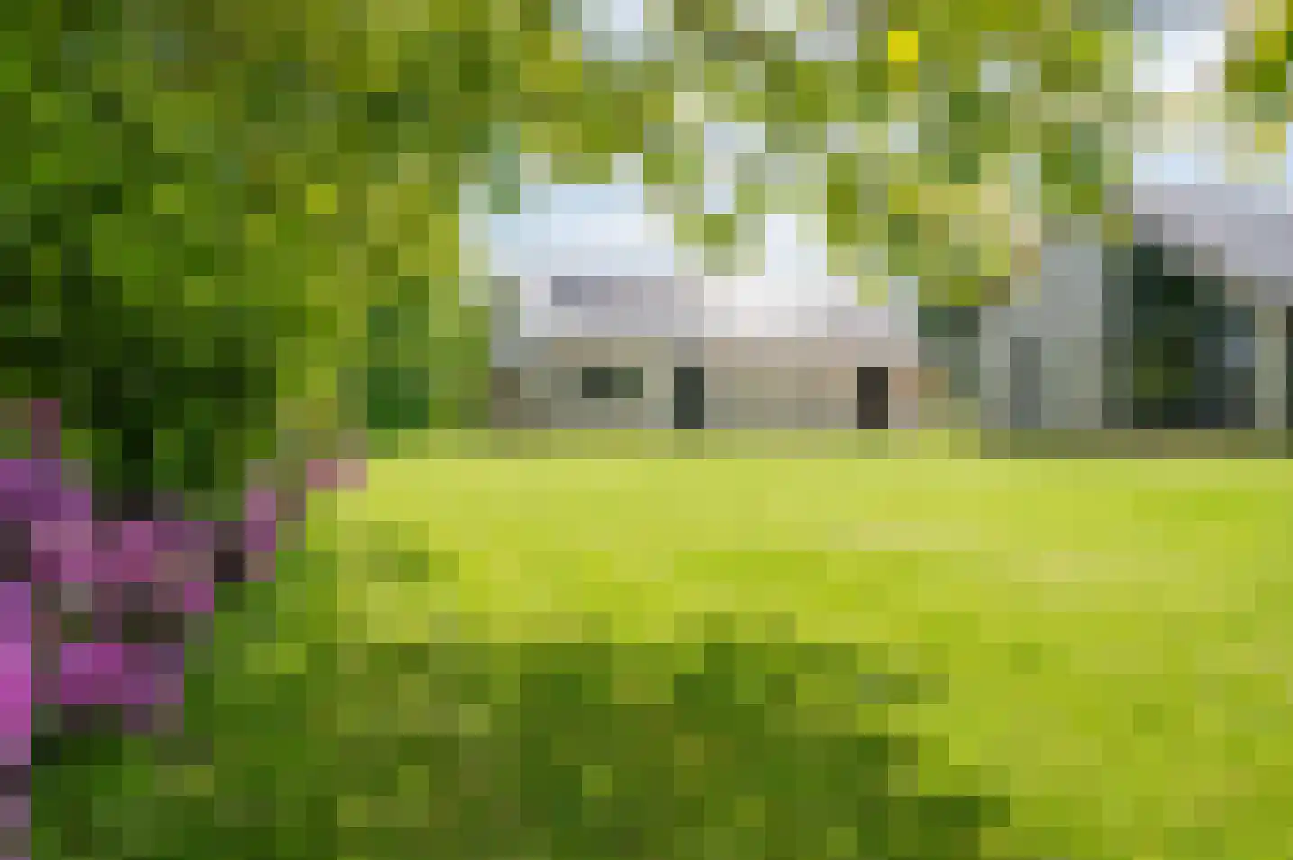 Veldslagweg 2 Vorden thumbnail 7