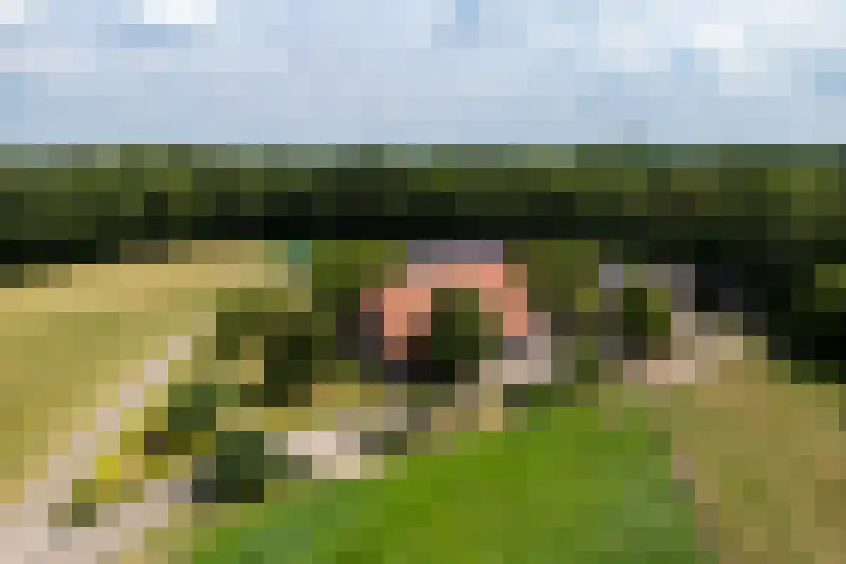 Veldsnijderweg 12 Haaksbergen thumbnail 4