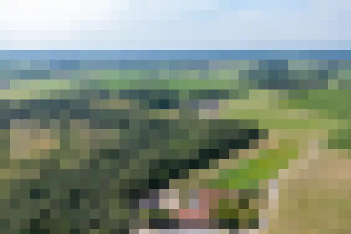 Veldsnijderweg 12 Haaksbergen thumbnail 5