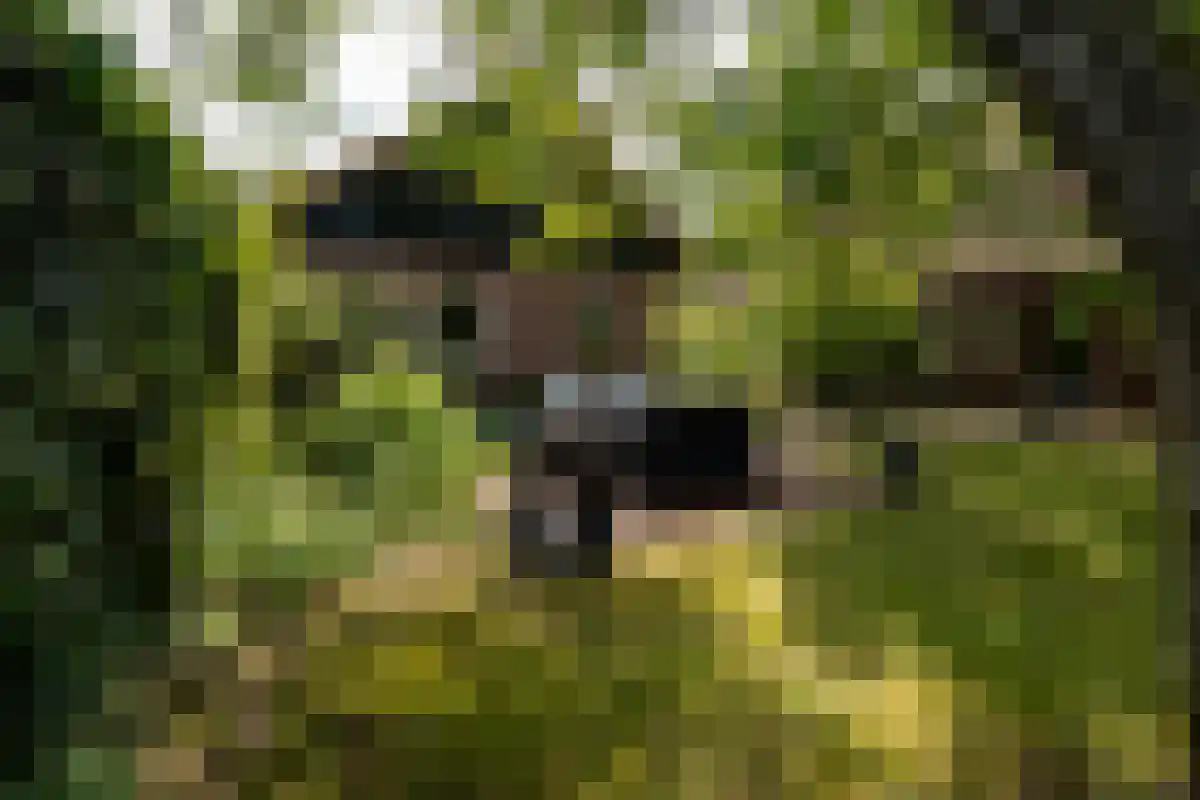 Veldsnijderweg 12 Haaksbergen thumbnail 8