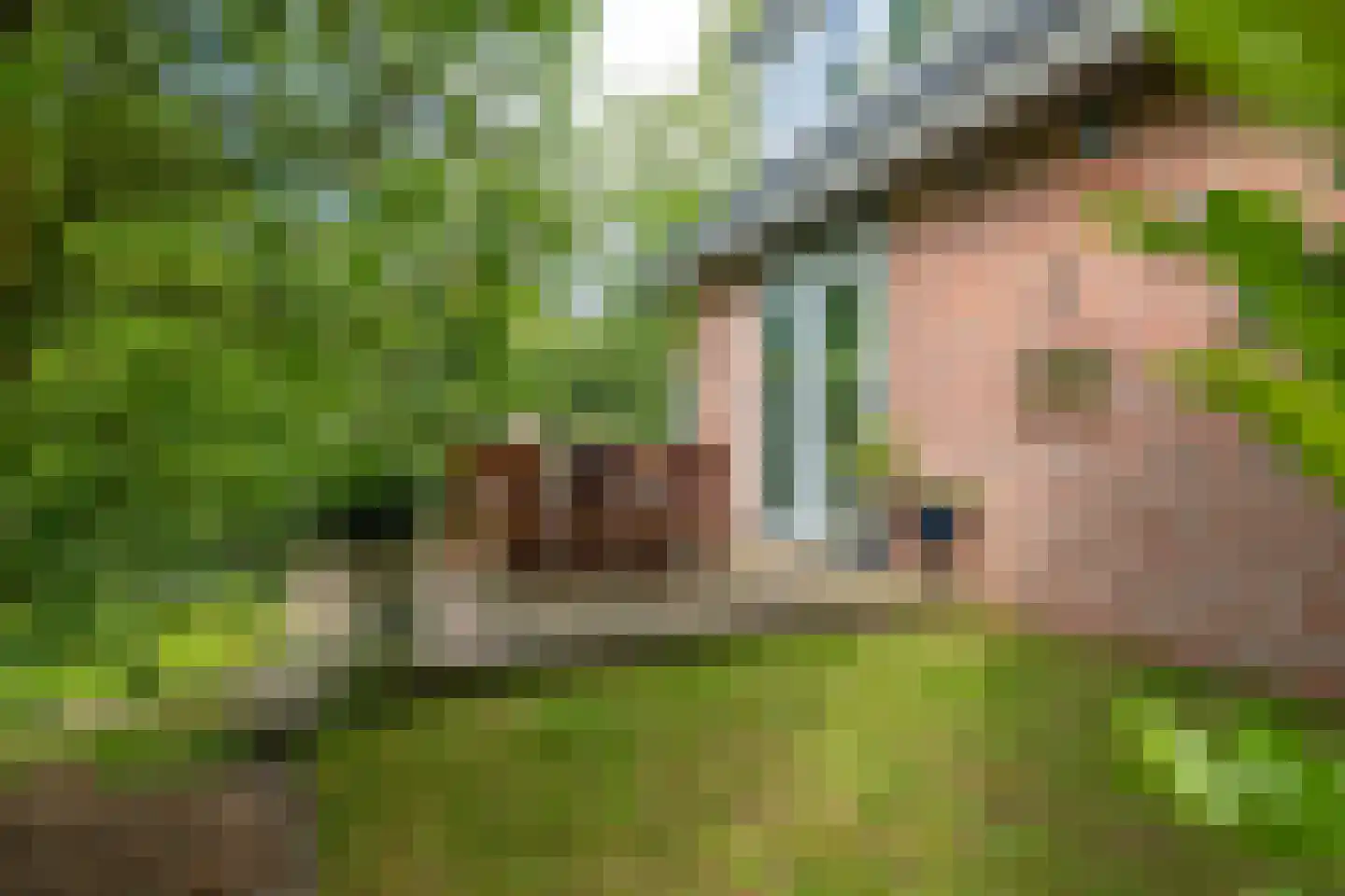 Veldspaat 19 Heerhugowaard thumbnail 20