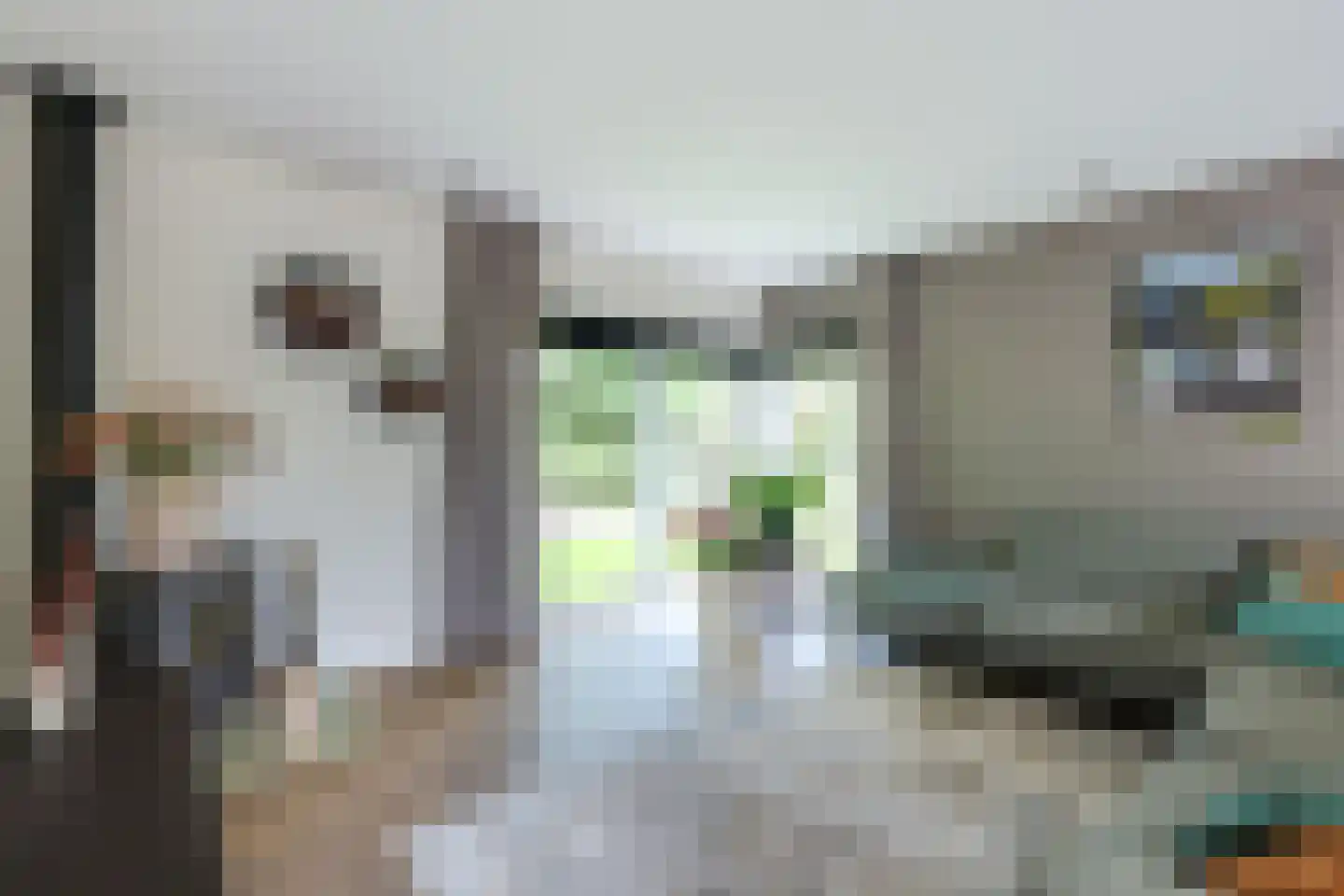 Veldspaat 19 Heerhugowaard thumbnail 32