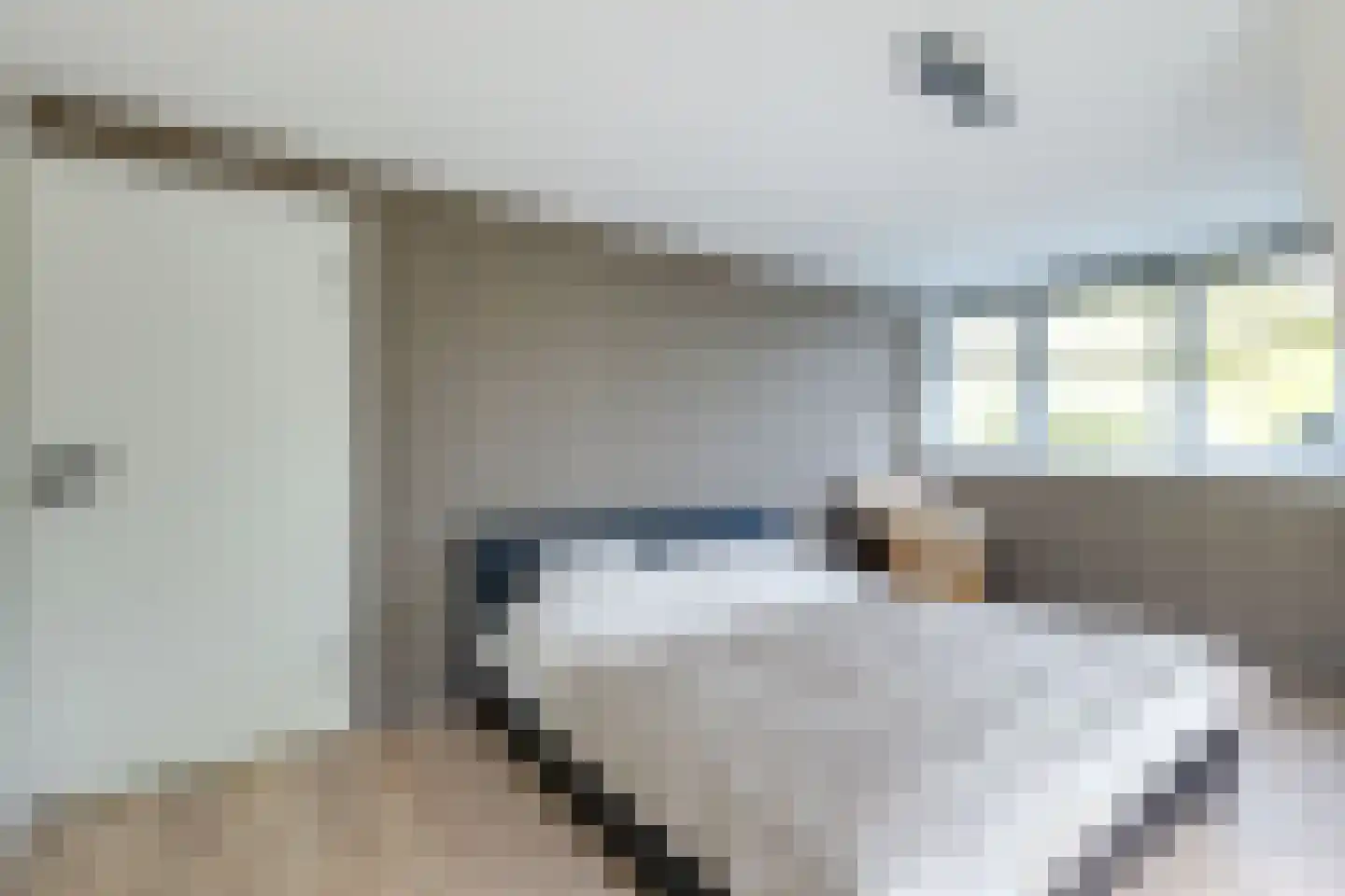 Veldspaat 19 Heerhugowaard thumbnail 57