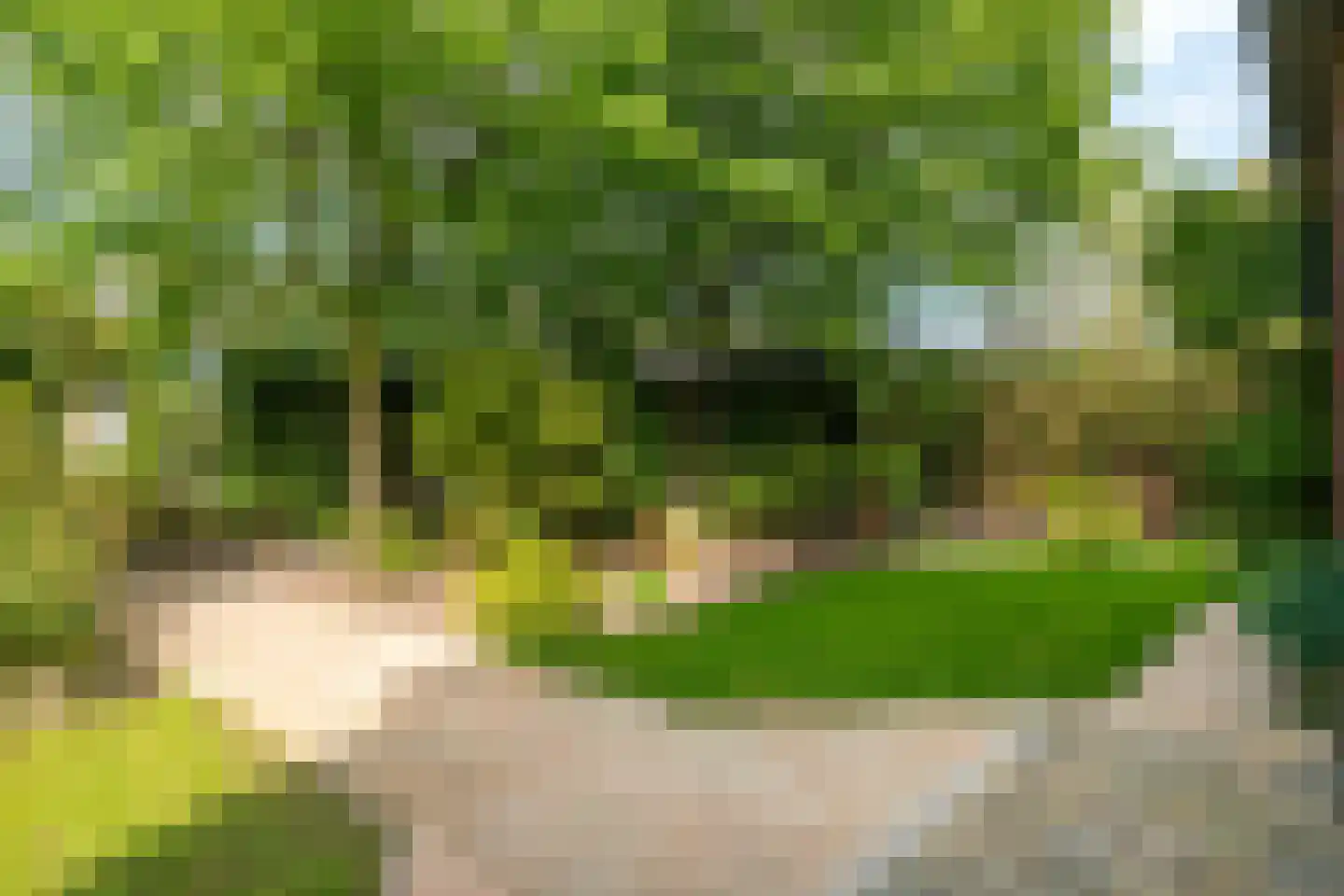 Veldspaat 19 Heerhugowaard thumbnail 83