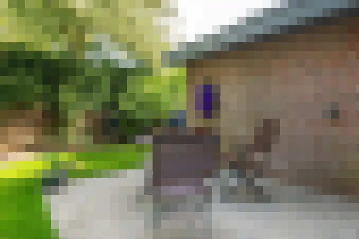Veldspaat 19 Heerhugowaard thumbnail 89