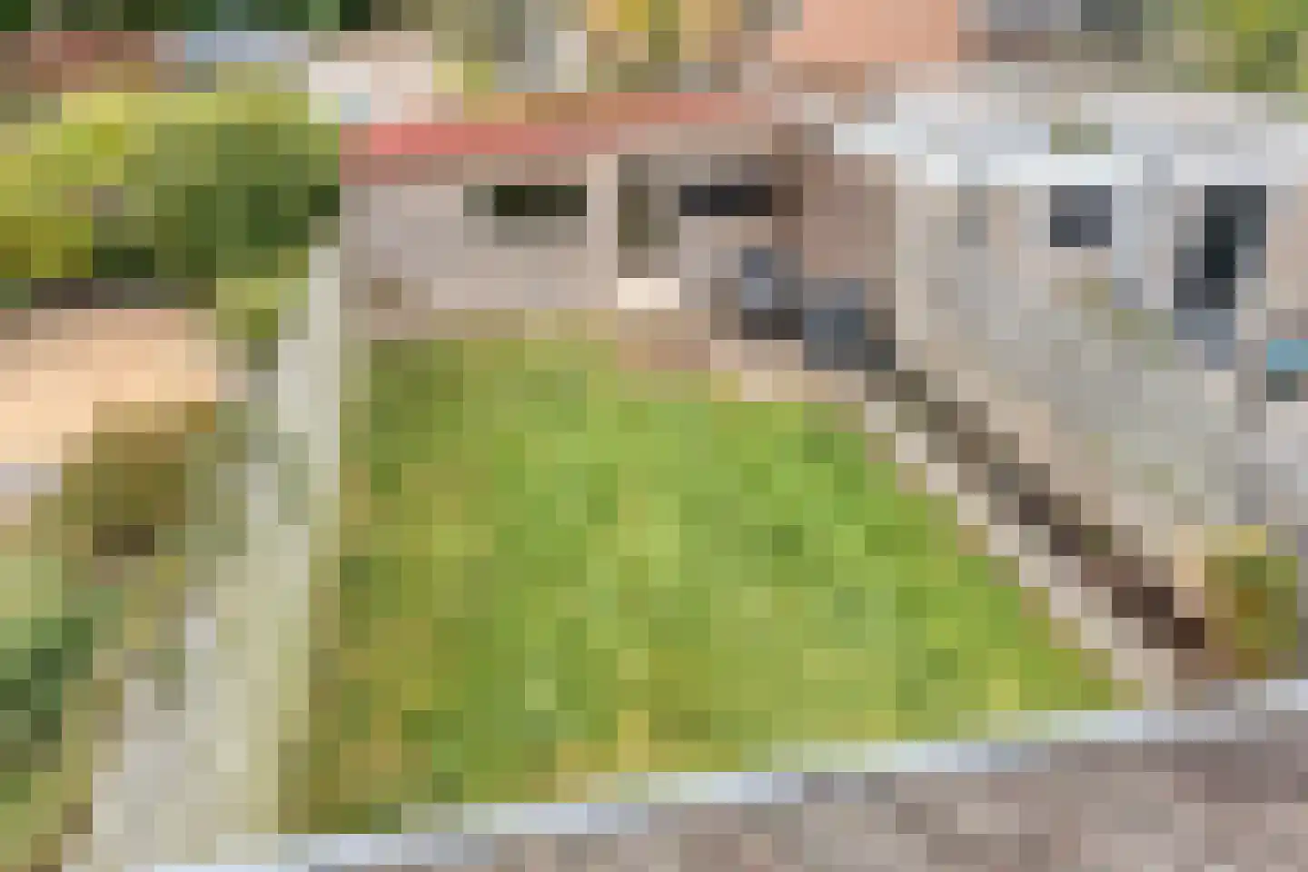 Veldspaat 28 Heerhugowaard thumbnail 45