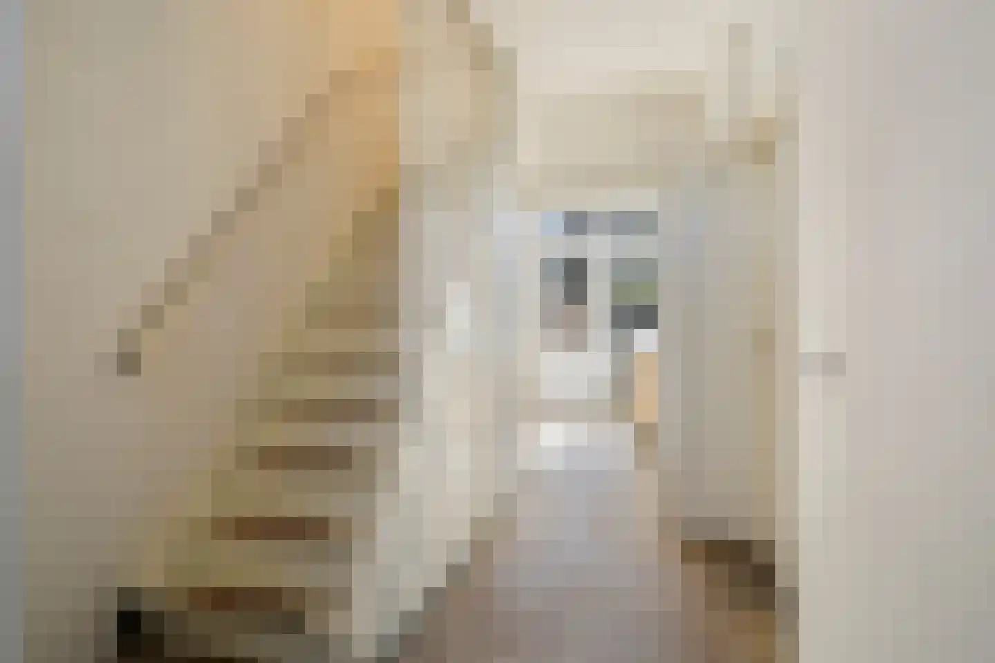 Veldspaatstraat 112 Groningen thumbnail 14