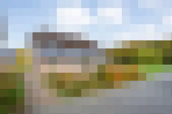 Veldsteeg 1 a Arriën thumbnail 10