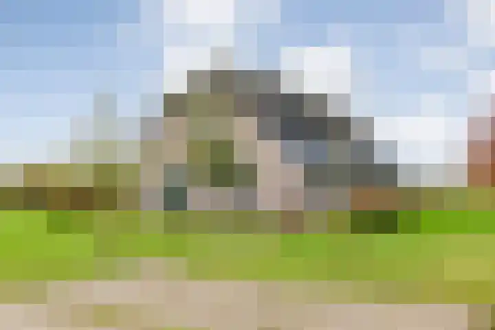 Veldsteeg 1 a Arriën thumbnail 11