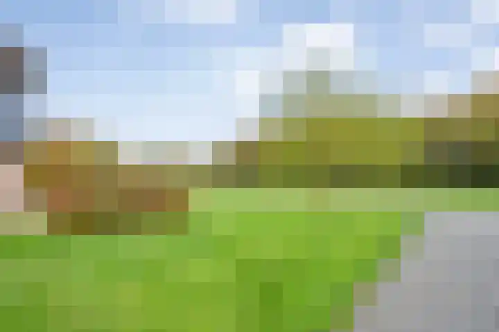 Veldsteeg 1 a Arriën thumbnail 12