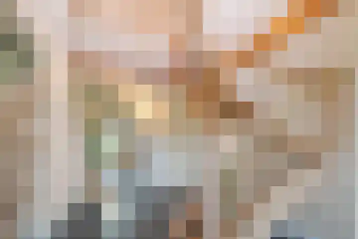 Veldsteeg 1 a Arriën thumbnail 15