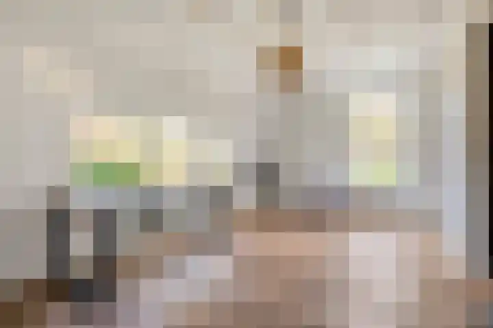 Veldsteeg 1 a Arriën thumbnail 23