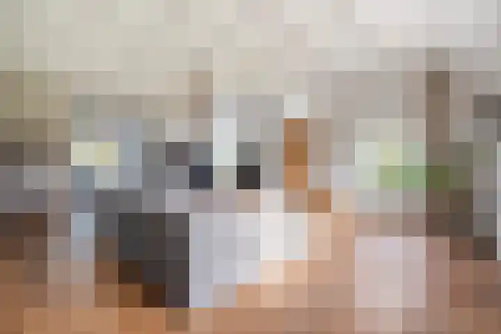 Veldsteeg 1 a Arriën thumbnail 26