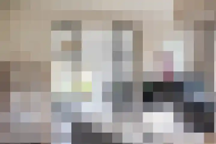 Veldsteeg 1 a Arriën thumbnail 29