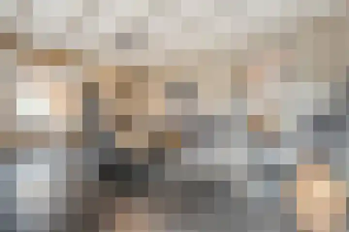 Veldsteeg 1 a Arriën thumbnail 32