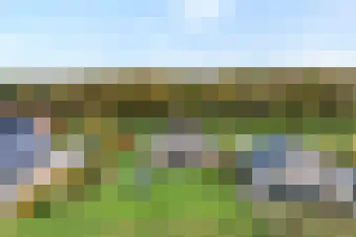 Veldsteeg 1 a Arriën thumbnail 4