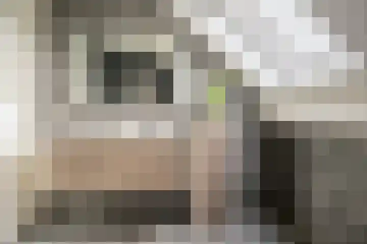 Veldsteeg 1 a Arriën thumbnail 47