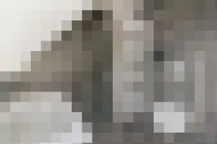 Veldsteeg 1 a Arriën thumbnail 48