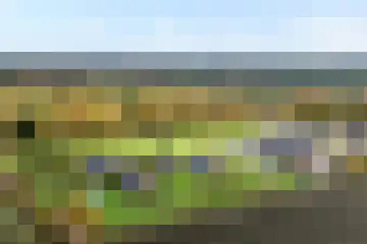 Veldsteeg 1 a Arriën thumbnail 5