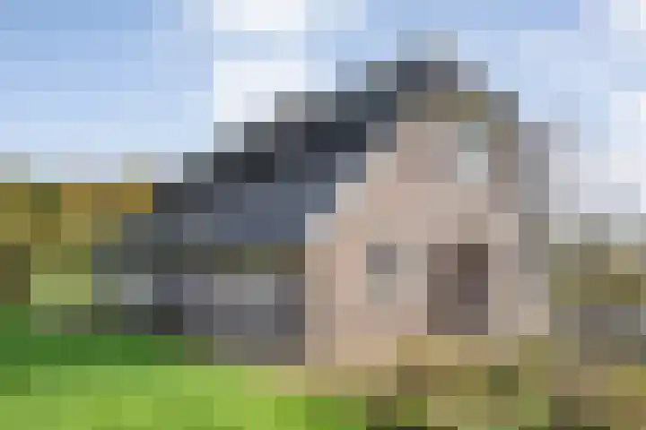 Veldsteeg 1 a Arriën thumbnail 58