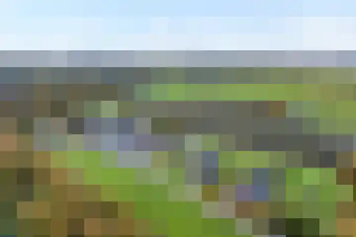 Veldsteeg 1 a Arriën thumbnail 6