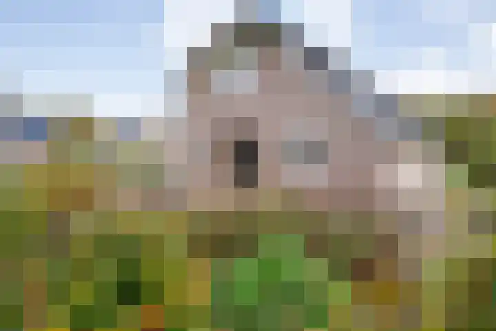 Veldsteeg 1 a Arriën thumbnail 61