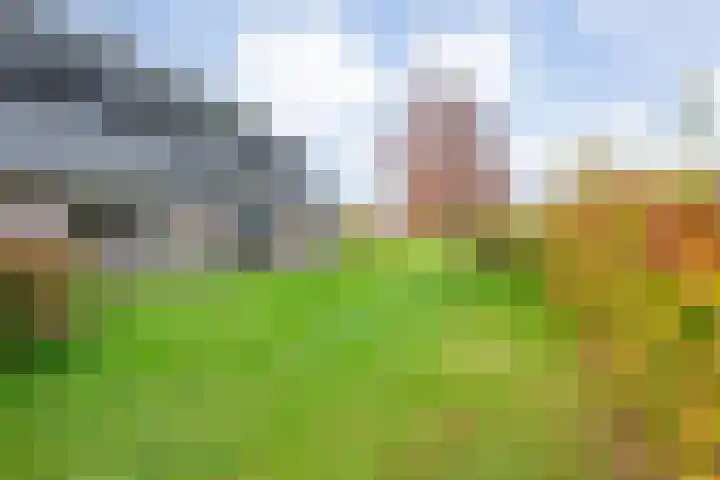 Veldsteeg 1 a Arriën thumbnail 62