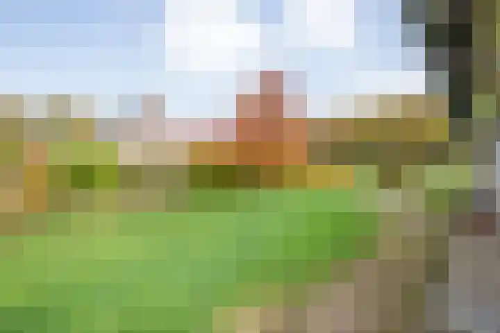 Veldsteeg 1 a Arriën thumbnail 63