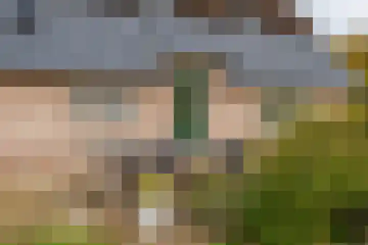 Veldsteeg 1 a Arriën thumbnail 64