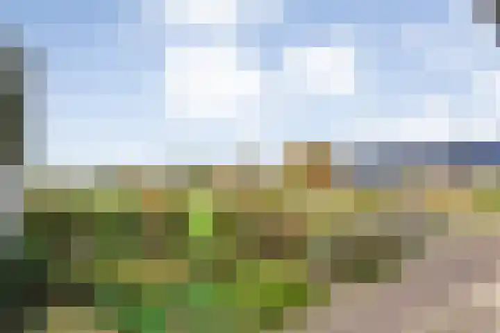 Veldsteeg 1 a Arriën thumbnail 65