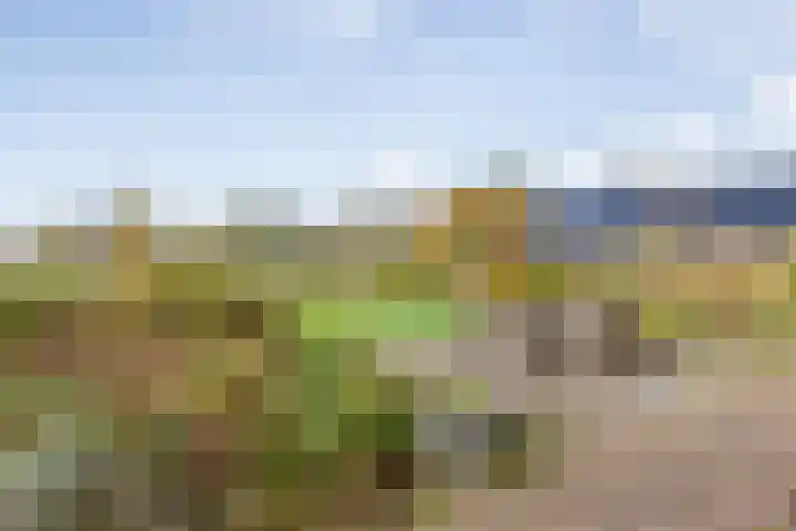 Veldsteeg 1 a Arriën thumbnail 66
