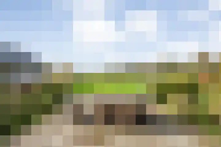 Veldsteeg 1 a Arriën thumbnail 67
