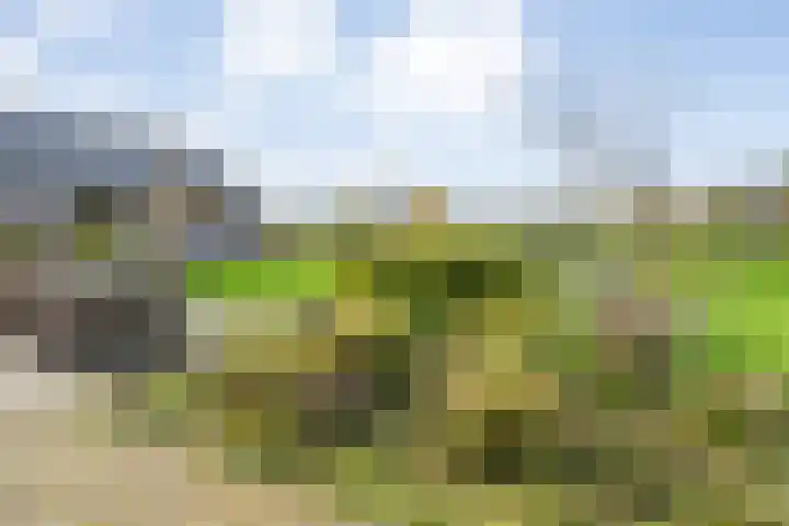 Veldsteeg 1 a Arriën thumbnail 68