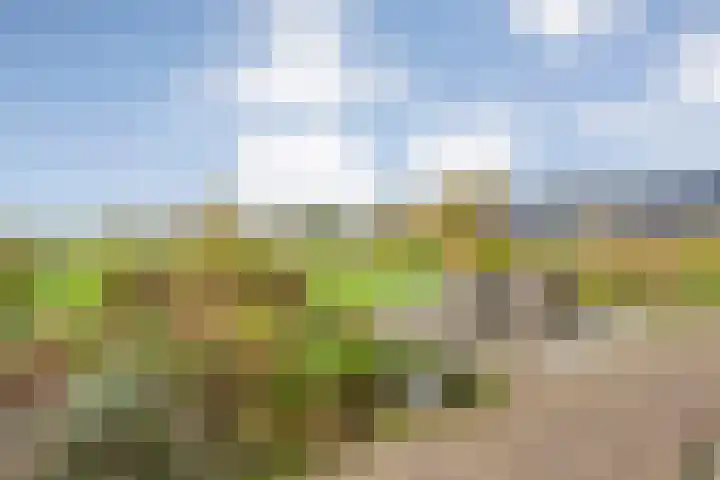 Veldsteeg 1 a Arriën thumbnail 69