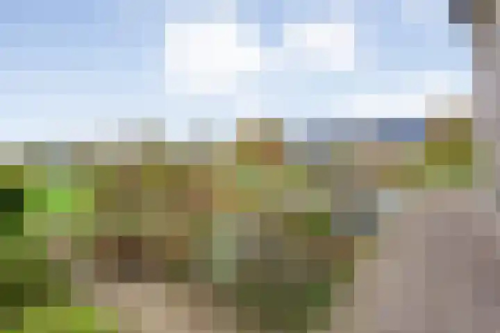 Veldsteeg 1 a Arriën thumbnail 70