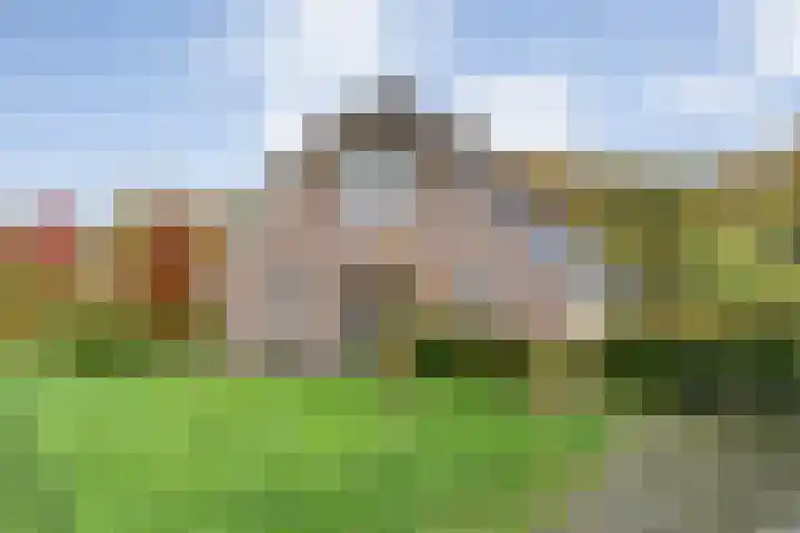 Veldsteeg 1 a Arriën thumbnail 71