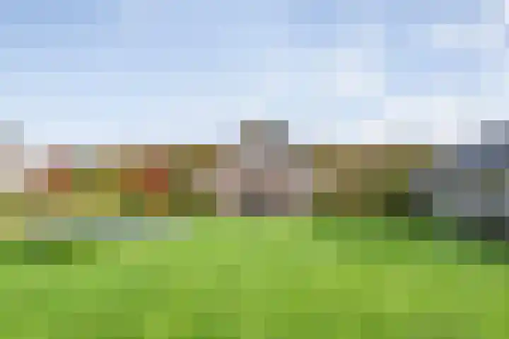 Veldsteeg 1 a Arriën thumbnail 73