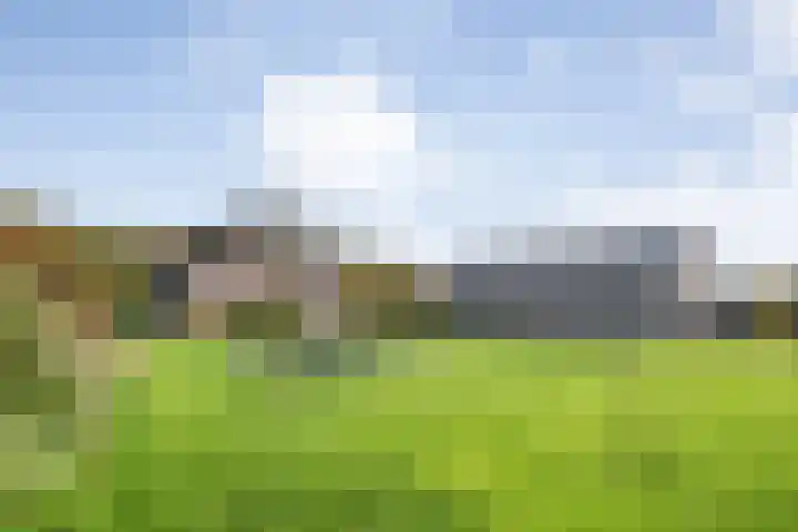 Veldsteeg 1 a Arriën thumbnail 74